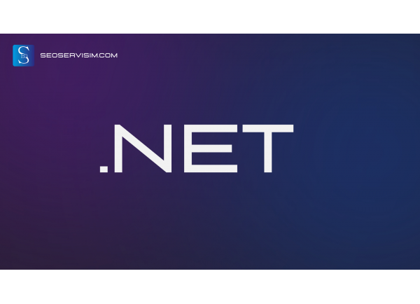 .net Domain